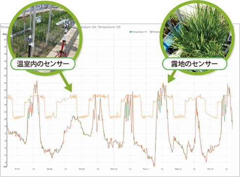 計測の様子